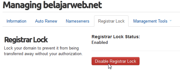 registrar lock domain