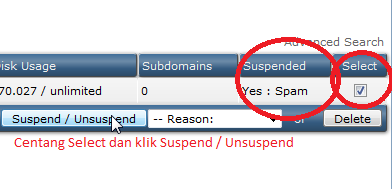 suspend un suspend directadmin